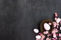 Stylish background with colorful easter eggs with blooming branches of sakura flowers - PhotoDune Item for Sale