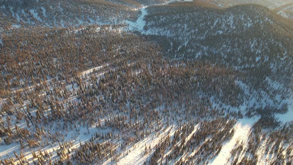 View of the Snowcovered Hills and Forest From a Height