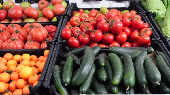 Fresh Vegetables at the Market