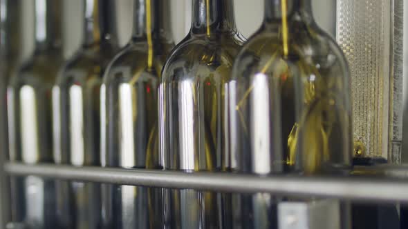 Filling of olive oil bottles in a bottling factory