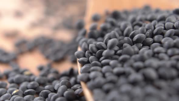 Falling grains of uncooked black lentils in a heap on a wooden spoon