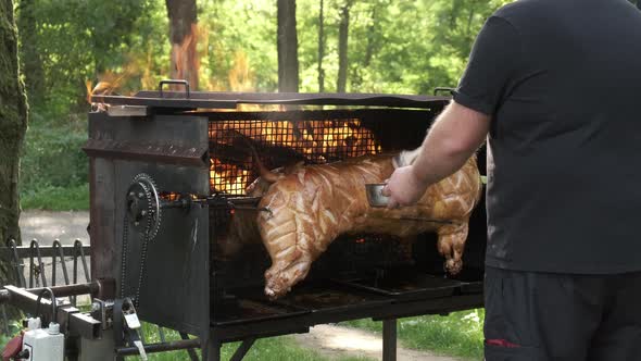 Chef Roasts Pig on Fire in Brazier Brushing Pork with Sauce