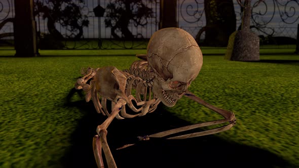 Attacking Skeleton at Night in the Cemetery alt