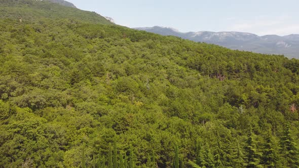 Mountains in the Greenery View From the Air