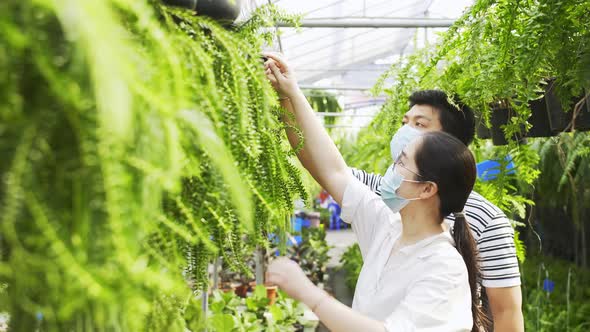 Two masked asian people look at hanging fern plants at a plant nursery and talk about the plants.