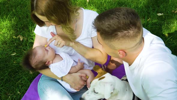 Young family with cute baby and pet sitting on blanket in summer park