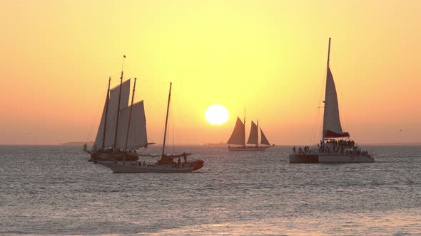 Sailing Boats at the Coast of Key West on Sunset