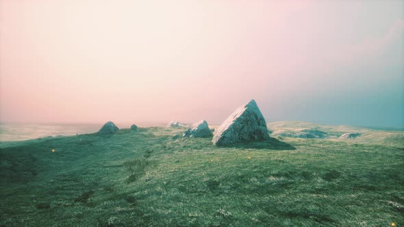Alpine Meadow with Rocks and Green Grass alt