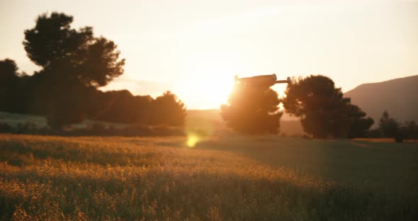 Silhouette of quadcopter drone flying over wheat field against sunset sunbeams