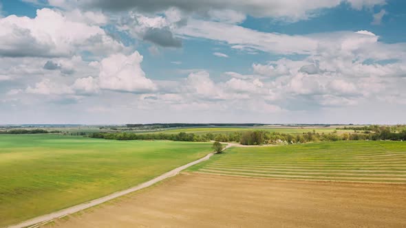 Tractor Plowing Field In Spring