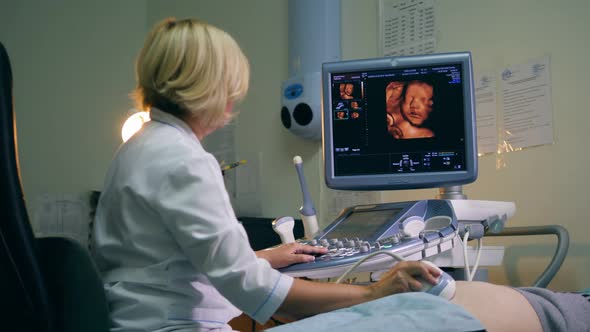 Female Doctor Uses Ultrasound While Checking Pregnant Patient.