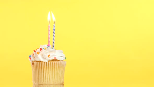 Tasty Birthday Cupcake with Two Candle, on Yellow Background