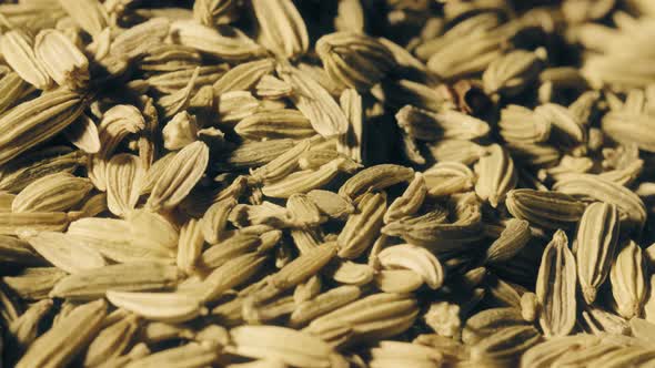 Pile of Cumin Seeds