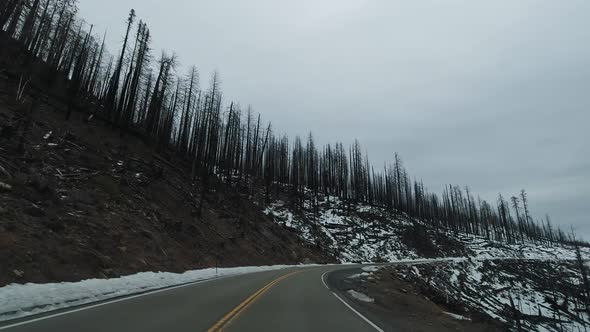 Driving Car in Yosemite National Park, California, USA