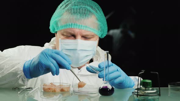 The Lab Technician Checks the Quality of the Chicken Meat in the Lab