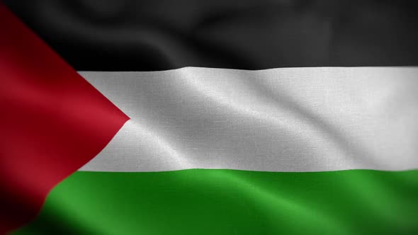 Palestine Flag Loop