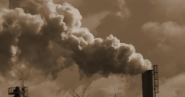 Smokestack of Sugar Refinery with Water Vapour, Near Caen in Normandy, Real Time 4K
