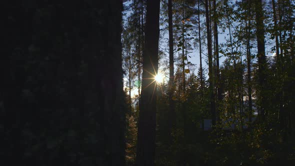 Slider shot of Sunset with rainbow halo rings in forest in Ruovesi, Finland