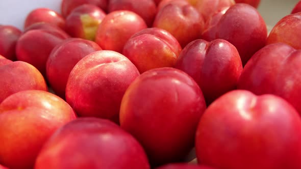 Juicy Red Nectarines in Crate at Sunlight in Branches Shadow