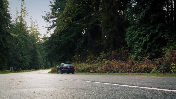 Car Drives Past On Road Through Woods