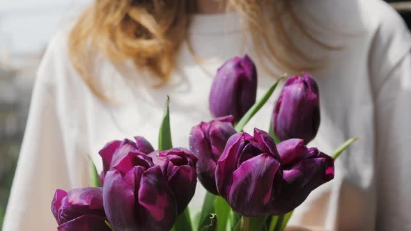 Bouquet of Flowers Purple Tulips in Woman Hands