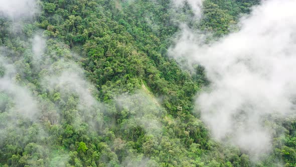 Mountain Peaks are Covered with Rainforest and Clouds