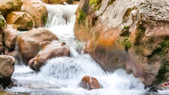 Stream Running Fast in Summer Green Forest