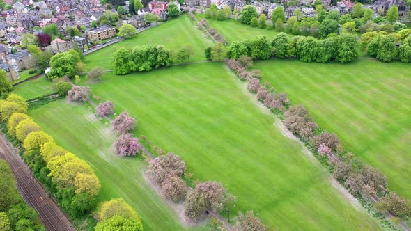 Aerial drone view footage of the beautiful blossom trees in the spring time