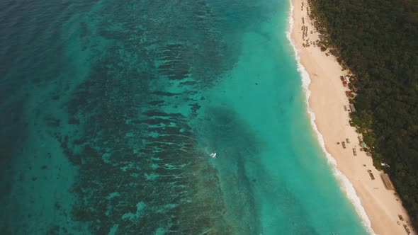 Tropical Sand Beach with Palm Trees