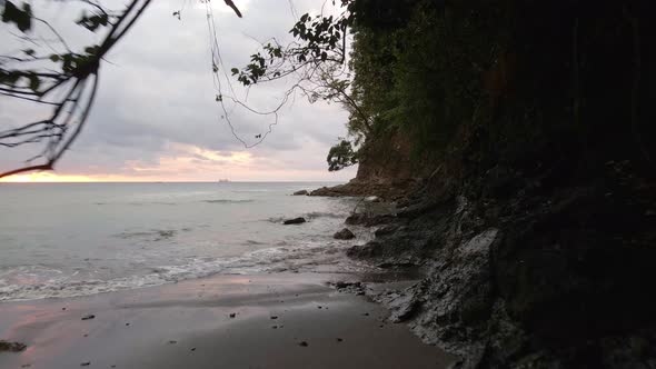 drone flight under the branches of trees near the shores of the ocean at sunset