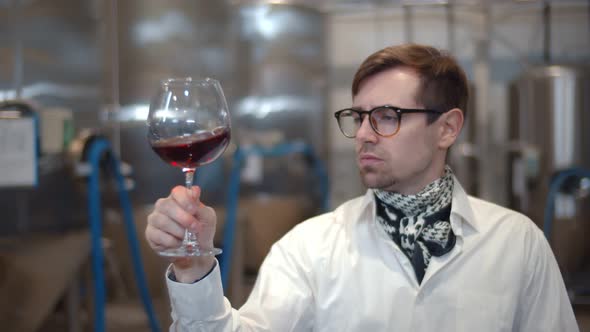 Sommelier Tasting Glass of Red Wine From Stainless Barrel