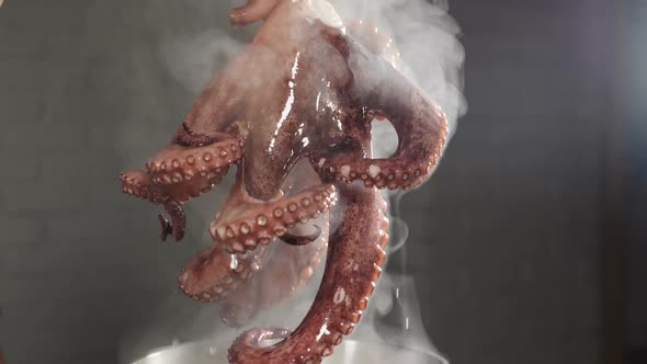 Cooking Octopus