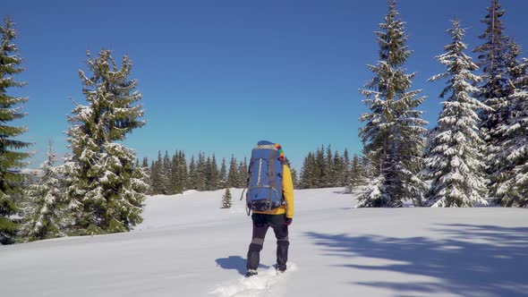 Man Backpacker Tourist Walking Snow Landscape