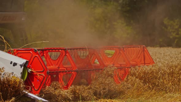 Harvester working in the field. Harvester machine to harvest wheat field