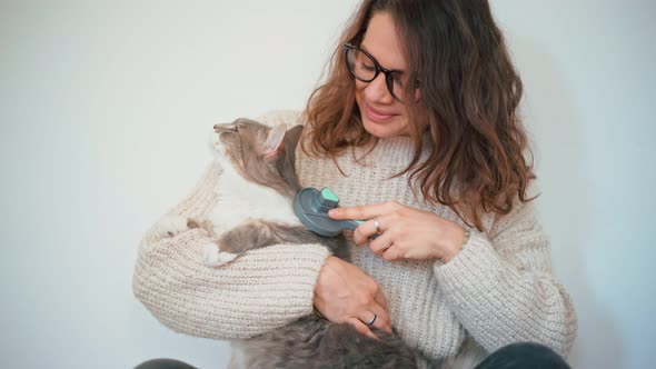 A Woman Combing Her Grey Fluffy Cat with a Brush