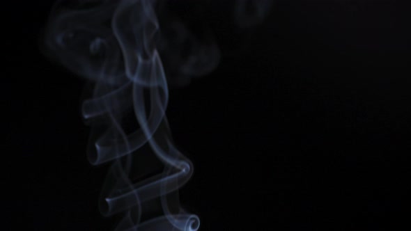 Abstract Smoke Rises Up in Beautiful Swirls on a Black Background