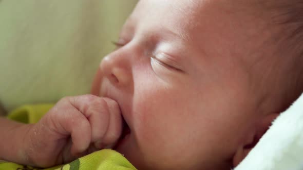 Close Up of Newborn’s Profile