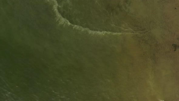 Yellow coniferous pollen in the Baltic Sea, view from a drone