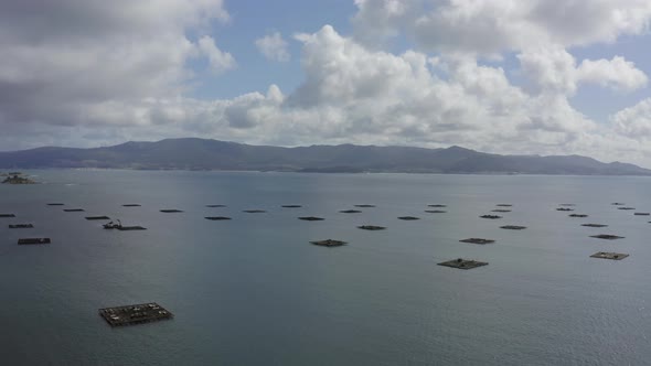 Mussel Seafood Farms in Ria Muros y Noya Galicia Spain