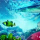 Underwater  Blue World 1 - VideoHive Item for Sale