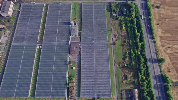 Flying Over a Large Greenhouse with Vegetables