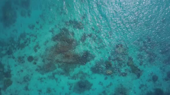 Aerial tracking shot directly down on clear blue waters and coral reefs in Siargao, the Philippines
