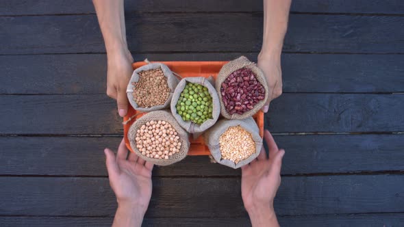 Legumes on Dark Wooden Ecological Background