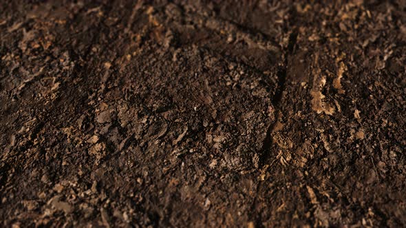 Wheel Tracks on Rough Road