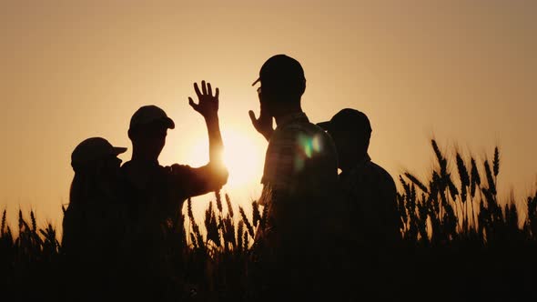 A Group of Young Farmers Makes the Mark High Five in a Field of Wheat