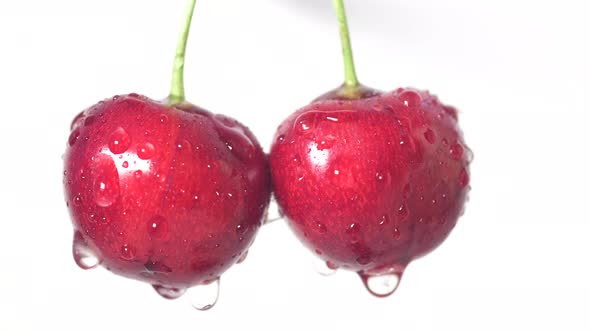 Drops of Water on Fresh Cherry Berries