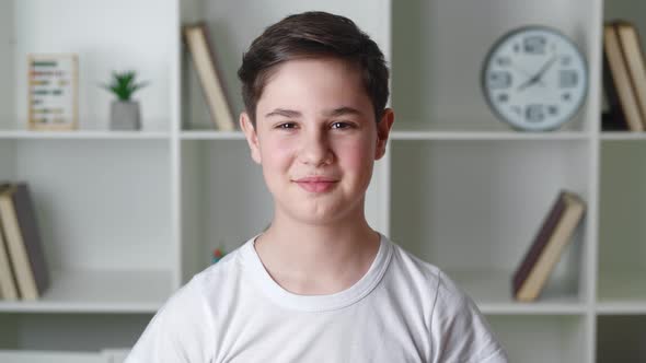 Portrait of Young Teenage Boy Indoors