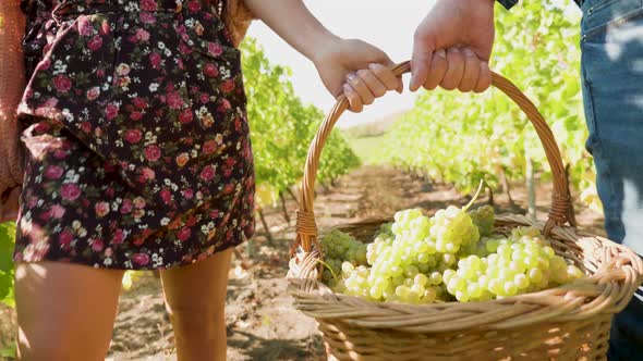 Man and Woman Carrying a Big Basket with White Grapes