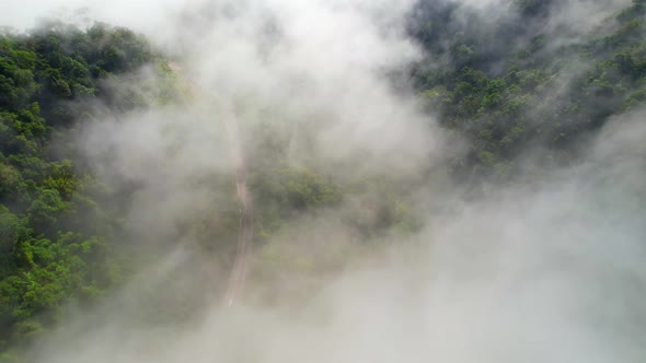 The drone Flying over the fog in the valley