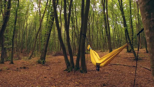 Slow and smooth zoom out from somebody laying in a hammock in the woods